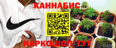 мет Дубна