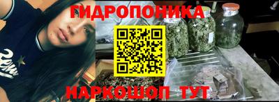 трава Гусь-Хрустальный